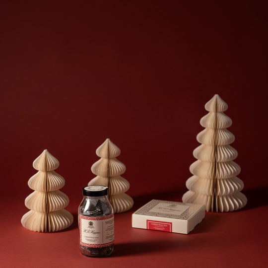 Spiced Orange Christmas Tea Pyramid Bag Box