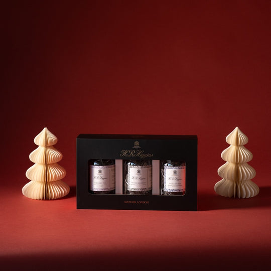 The Classic Black Tea Collection in Pyramid Bags