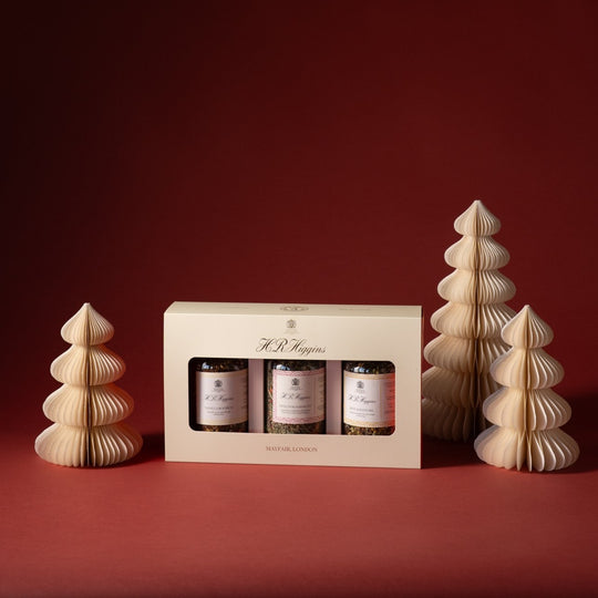 The Wellness Loose Leaf Tea Collection