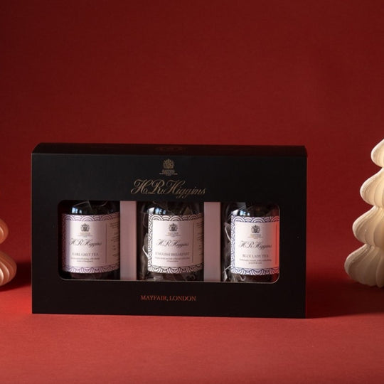 The Classic Black Tea Collection in Pyramid Bags