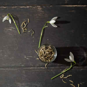 China White Fujian Silver Needle Tea