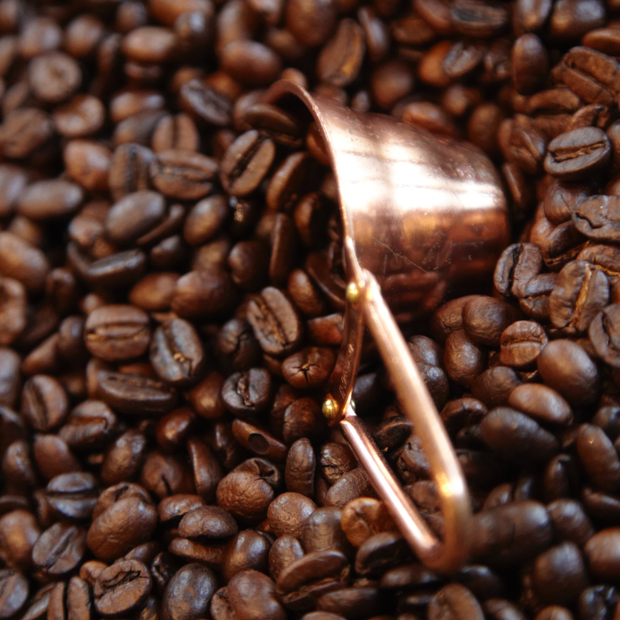 Hario Copper Coffee Measuring Scoop